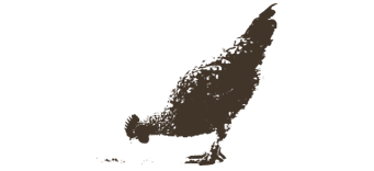vegetative cover
